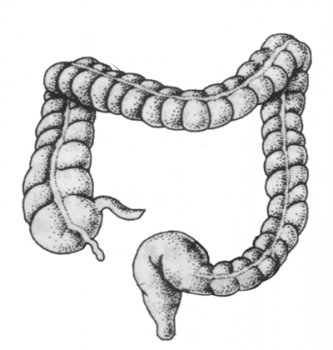 福州哪里可以做肠镜检查