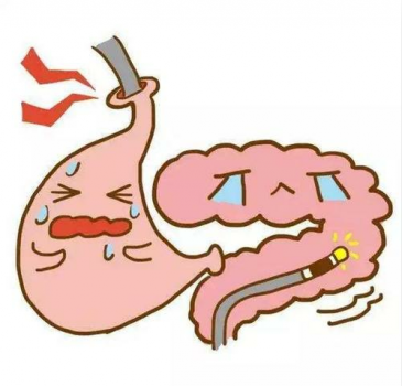 福州做痔肠胃炎怎么治